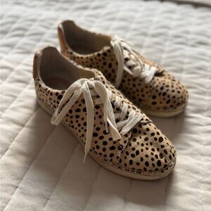 Dolce Vita Leopard Print Sneakers with White Laces